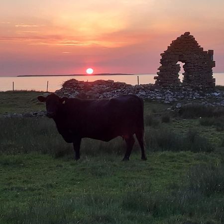 Beezies Self Catering Cottages Grange  Exteriör bild