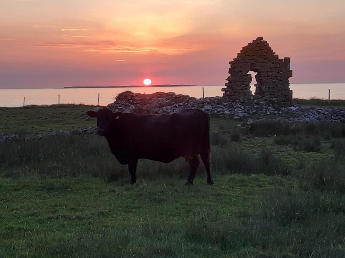 Beezies Self Catering Cottages Grange  Exteriör bild