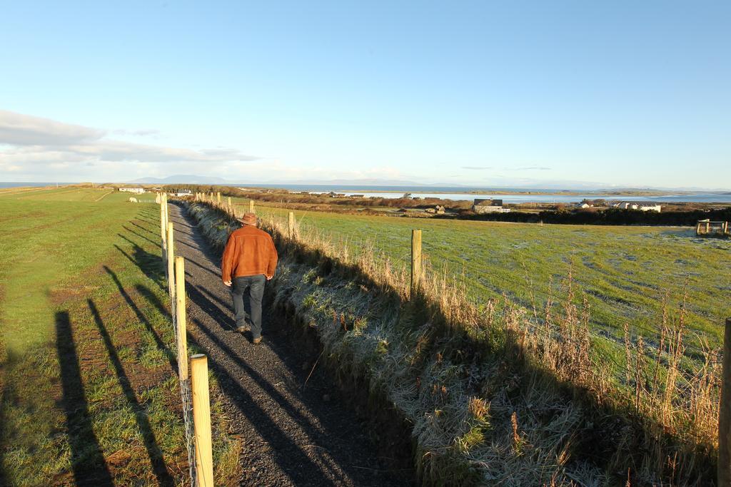 Beezies Self Catering Cottages Grange  Exteriör bild
